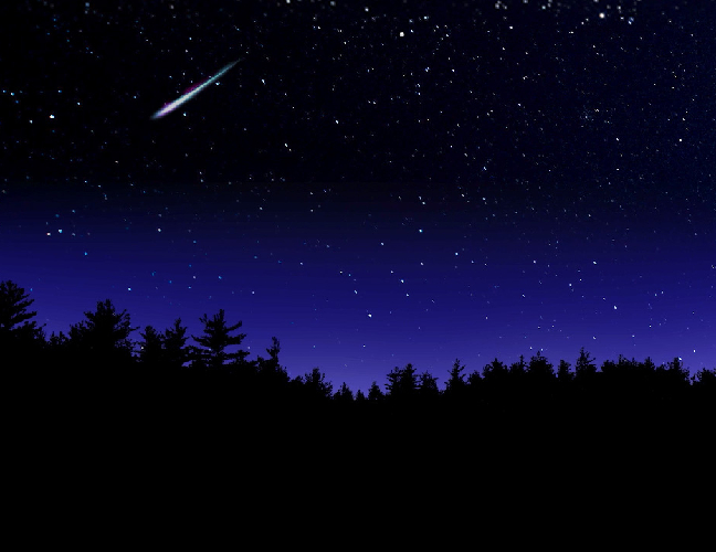 小児用（ロバート）