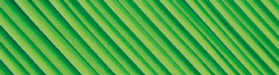 PureWave image