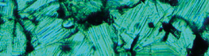 標準 image
