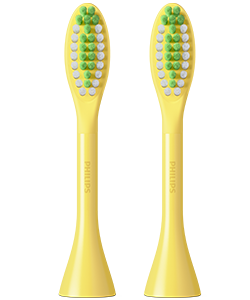 Mango brush head